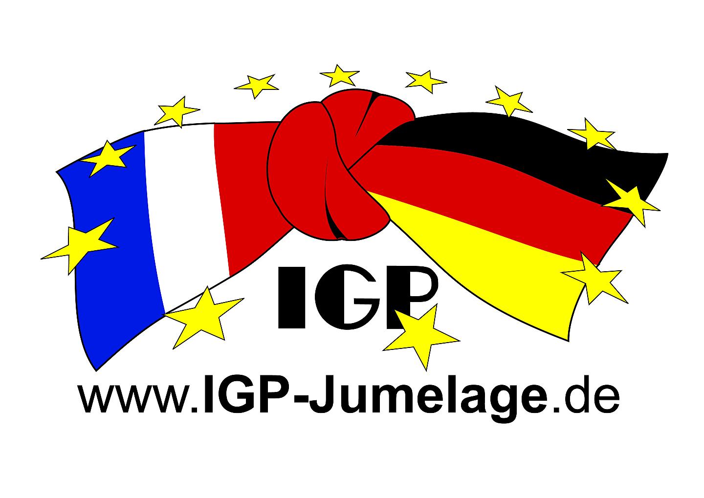 IGP Partnerschaft Edingen-Neckarhausen e.V.